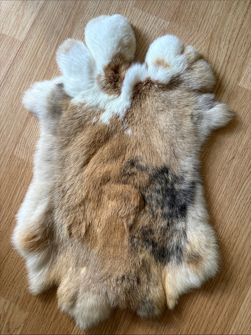 B0222 rabbit pelt craft decor